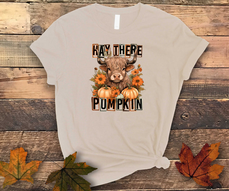 Hay There Pumpkin - Transfer