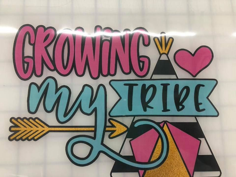 Growing my Tribe - Transfer