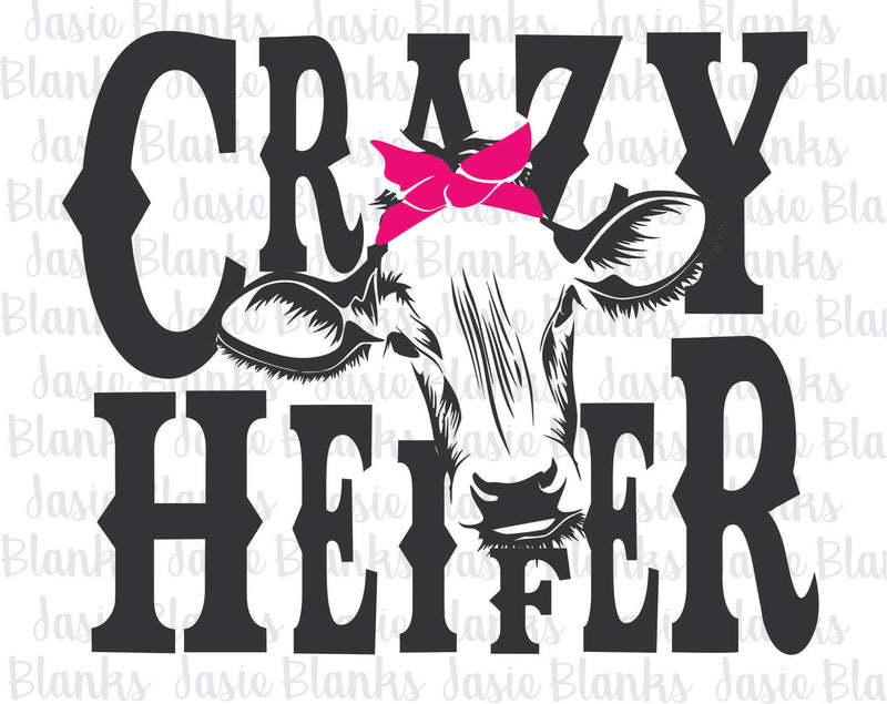 Crazy Heifers  - Transfer